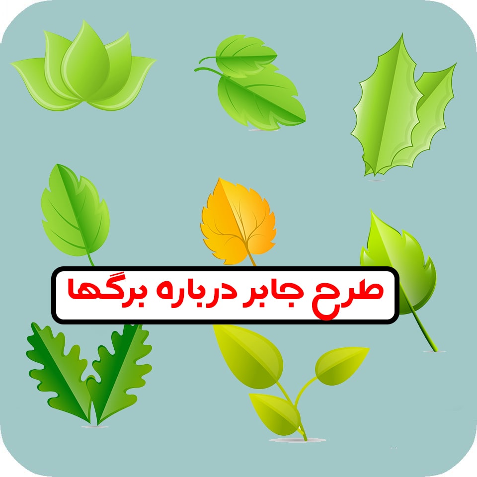 طرح جابر برگها